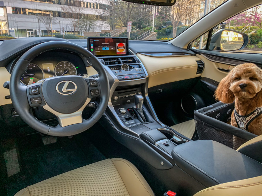 Lexus NX300h Luxury